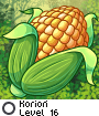 Koriori