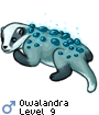 Owalandra