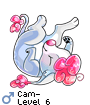 Cam-