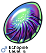 Echopine