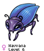 Havvana