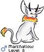 Marshallow