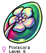 Floracora