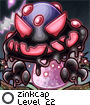 zinkcap