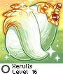 Xerulis