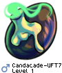 Candacade-UFT7