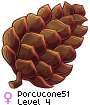 Porcucone51
