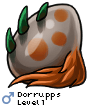 Dorrupps