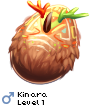 Kinara