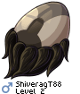 ShiveragT88