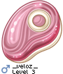 _veloz_