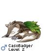 CasoBadger