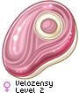 Velozensy