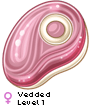 Vedded