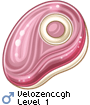 Velozenccgh