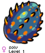 solv