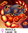 Anocica