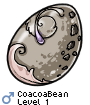 CoacoaBean
