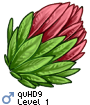 quHD9