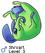 Shruart