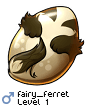 fairy_ferret