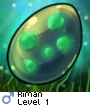Riman
