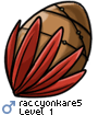 raccyonkare5