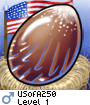 USofA250