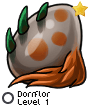 Dorrflor