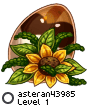 asteran43985