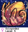 Octopodes