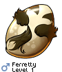 Ferretty