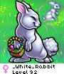 _White_Rabbit