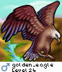 golden_eagle