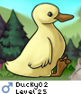 Ducky02