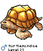 turtlesundae