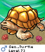 Sea_Turtle