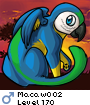 Macaw002