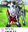 Krava