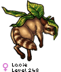 Laoie