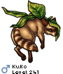 Kuko