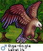 Elge-Eagle