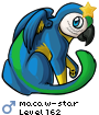 macaw-star
