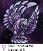 Owl-Violeta