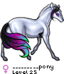 _________pony
