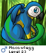 Macaw1egg