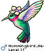 Hummingbird_Heartbea