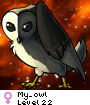My_owl